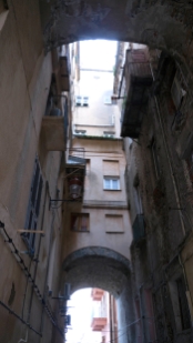 P1390525.jpg