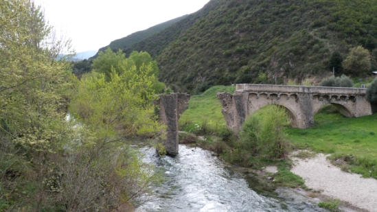 P1390531.jpg