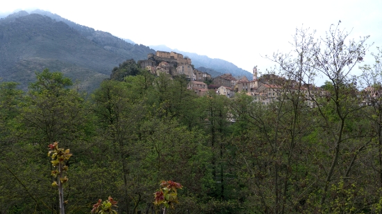 P1390549.jpg