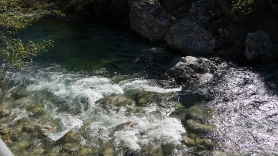 P1390560.jpg