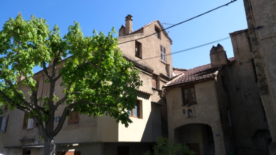 P1390656.jpg