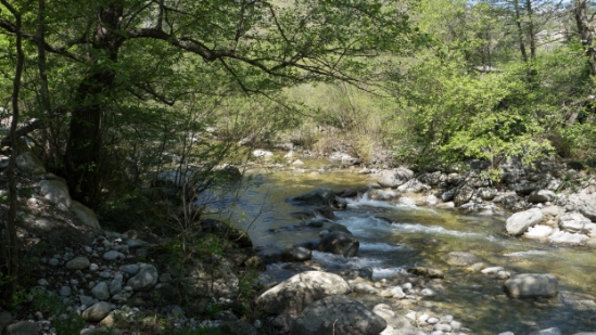 P1390721.jpg