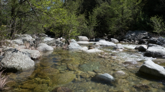 P1390756.jpg