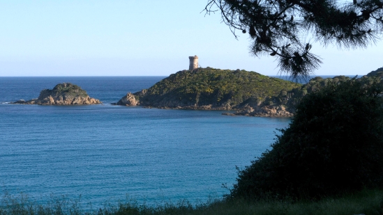 P1390850.jpg
