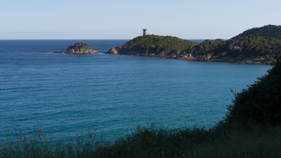 P1390851.jpg