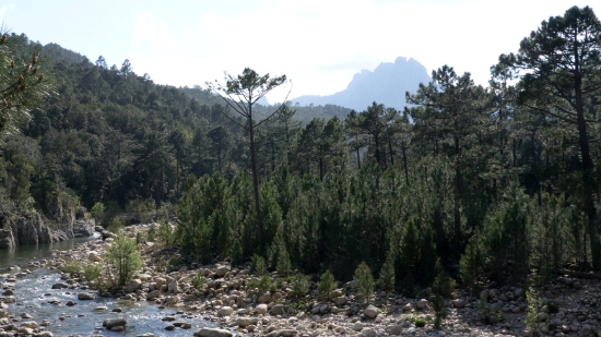 P1390789.jpg