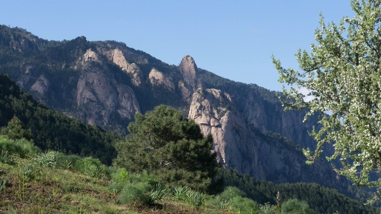 P1390832.jpg