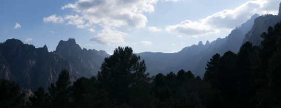 P1390842.jpg