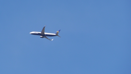 P1400220.jpg