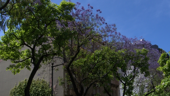P1400231.jpg