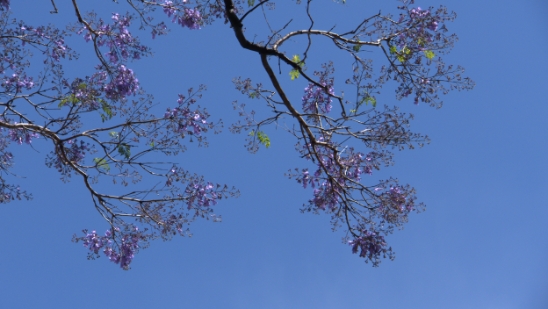 P1400233.jpg