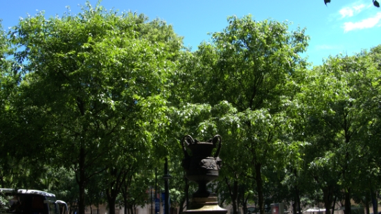 P1400247.jpg