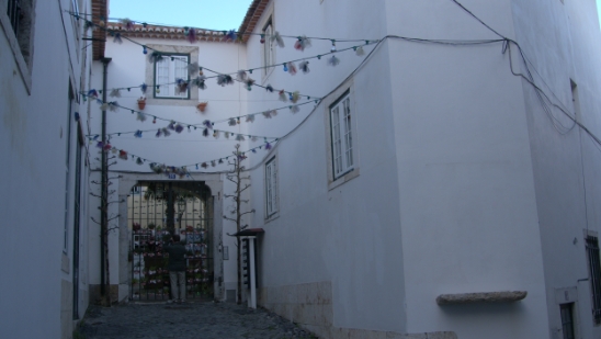 P1400507.jpg