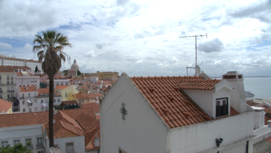 P1410061.jpg