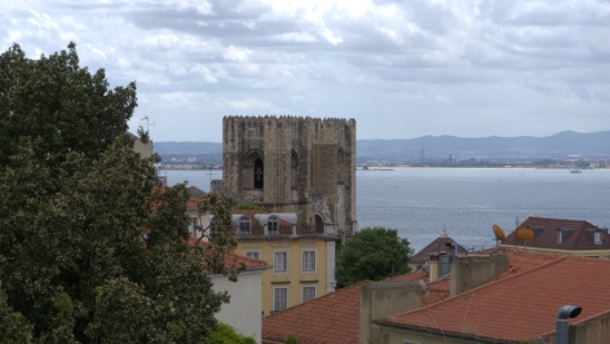 P1410164.jpg