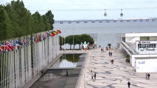 P1410277.jpg