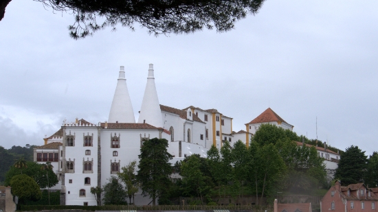P1400532.jpg