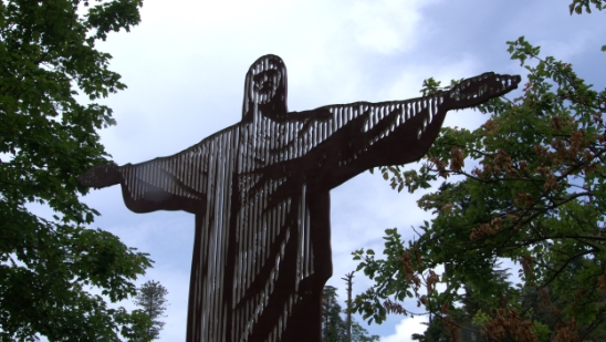 P1400563.jpg