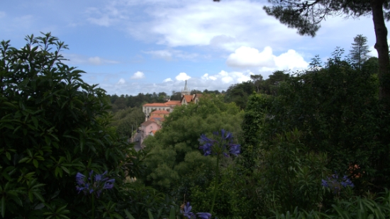 P1400579.jpg