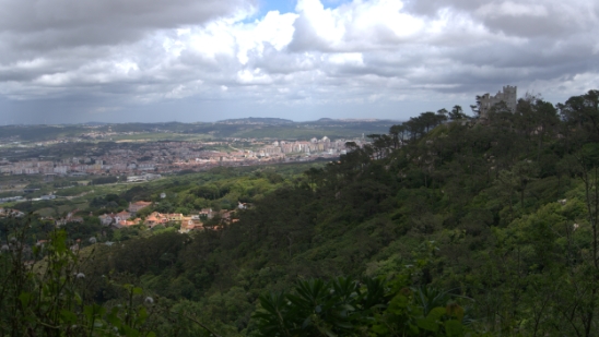 P1400629.jpg
