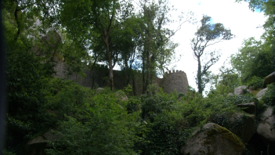 P1400637.jpg