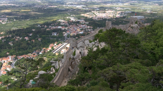 P1400730.jpg