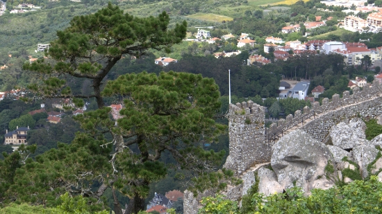 P1400745.jpg