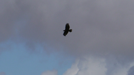 P1400839.jpg
