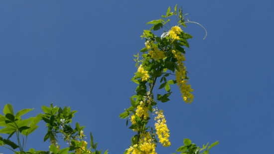 P1400156.jpg