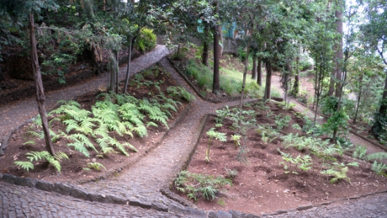 P1420023.jpg