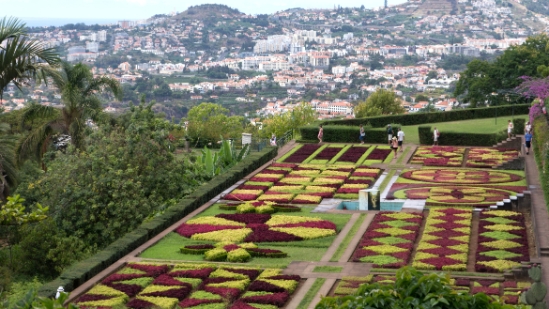 P1420027.jpg
