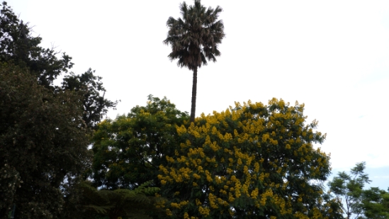 P1420030.jpg