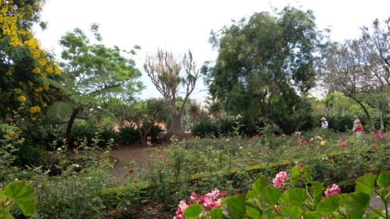 P1420031.jpg