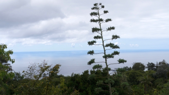 P1420119.jpg