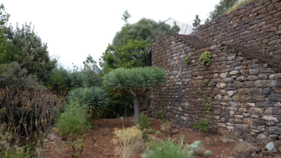 P1420123.jpg