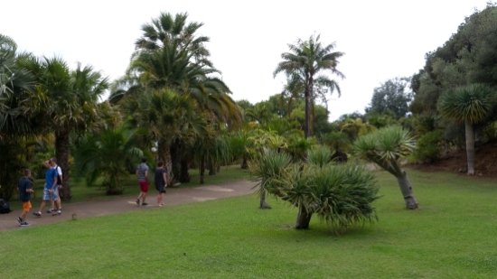P1420124.jpg