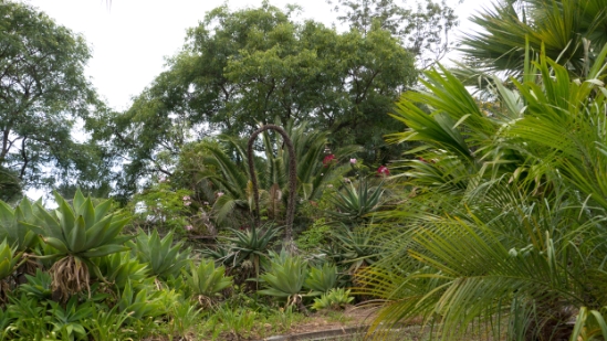 P1420125.jpg