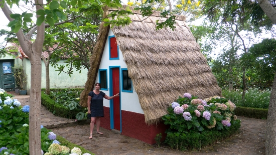 P1420163.jpg