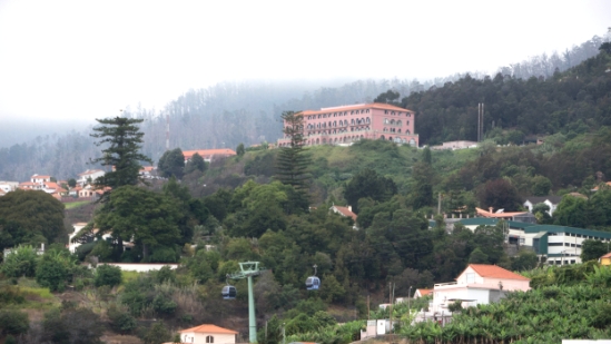 P1420174.jpg
