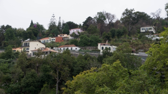 P1420194.jpg