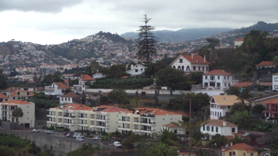 P1420243.jpg