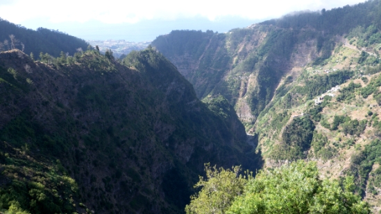 P1430141.jpg