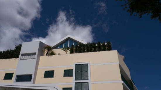 P1430449.jpg