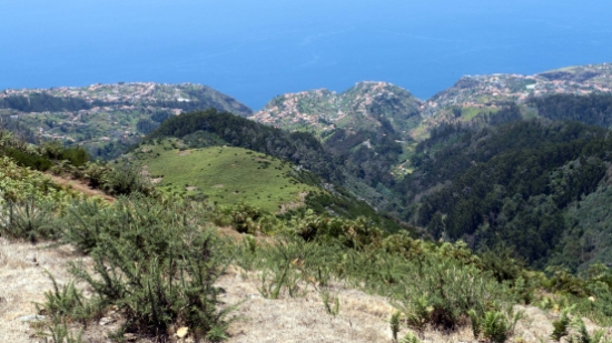 P1430691.jpg
