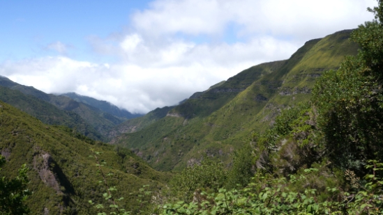 P1430734.jpg