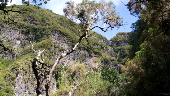 P1430746.jpg