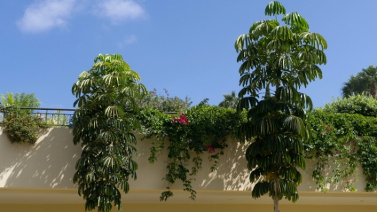 P1440012.jpg