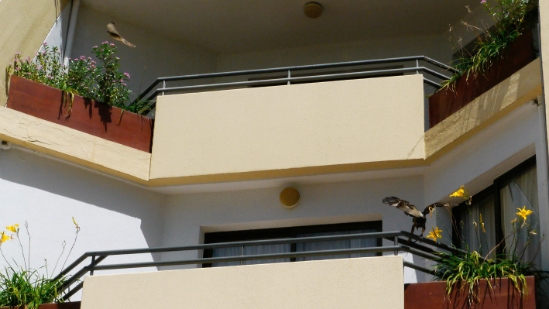 P1440251.jpg