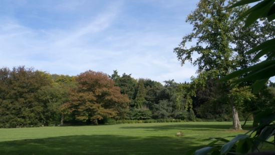 P1440744.jpg