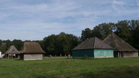 P1440771.jpg